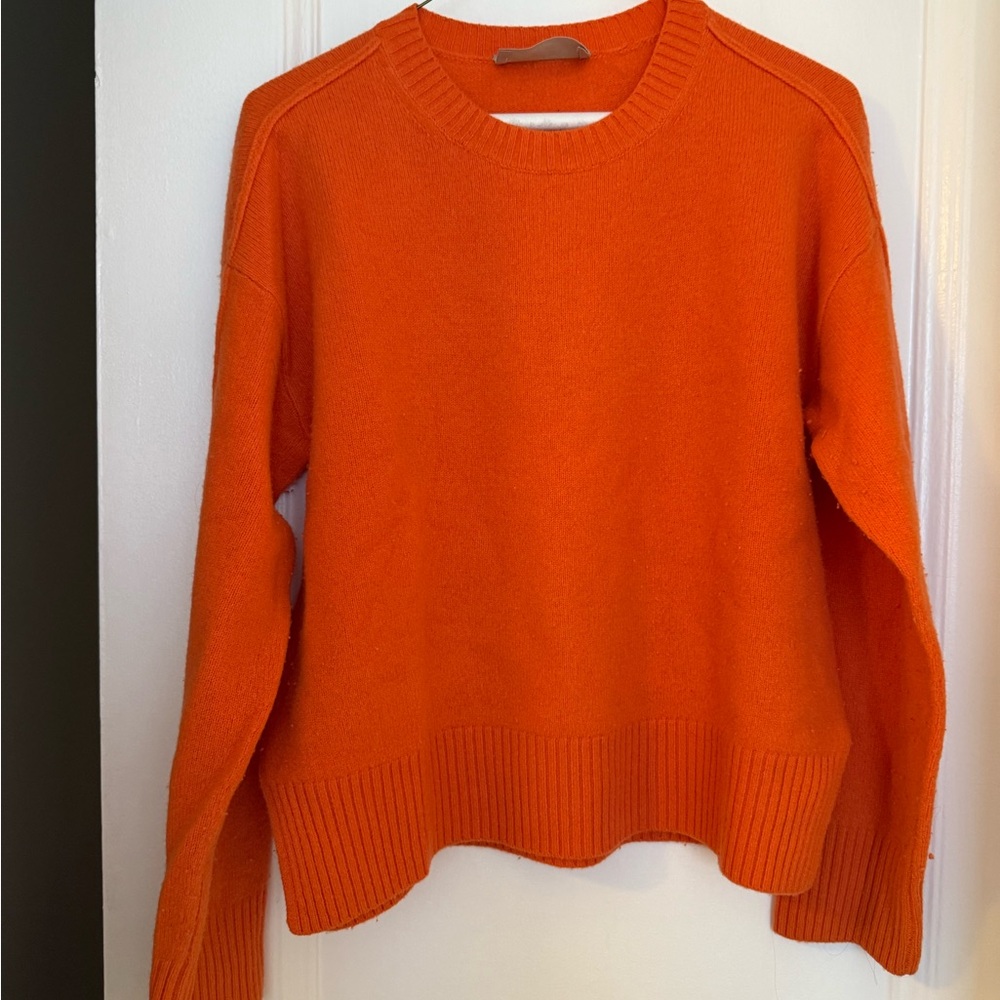 Everlane ‘The Good Merino Wool Crewneck Sweater’ in Orange